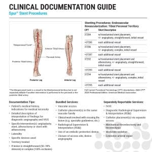 Clinical Documentation Guide